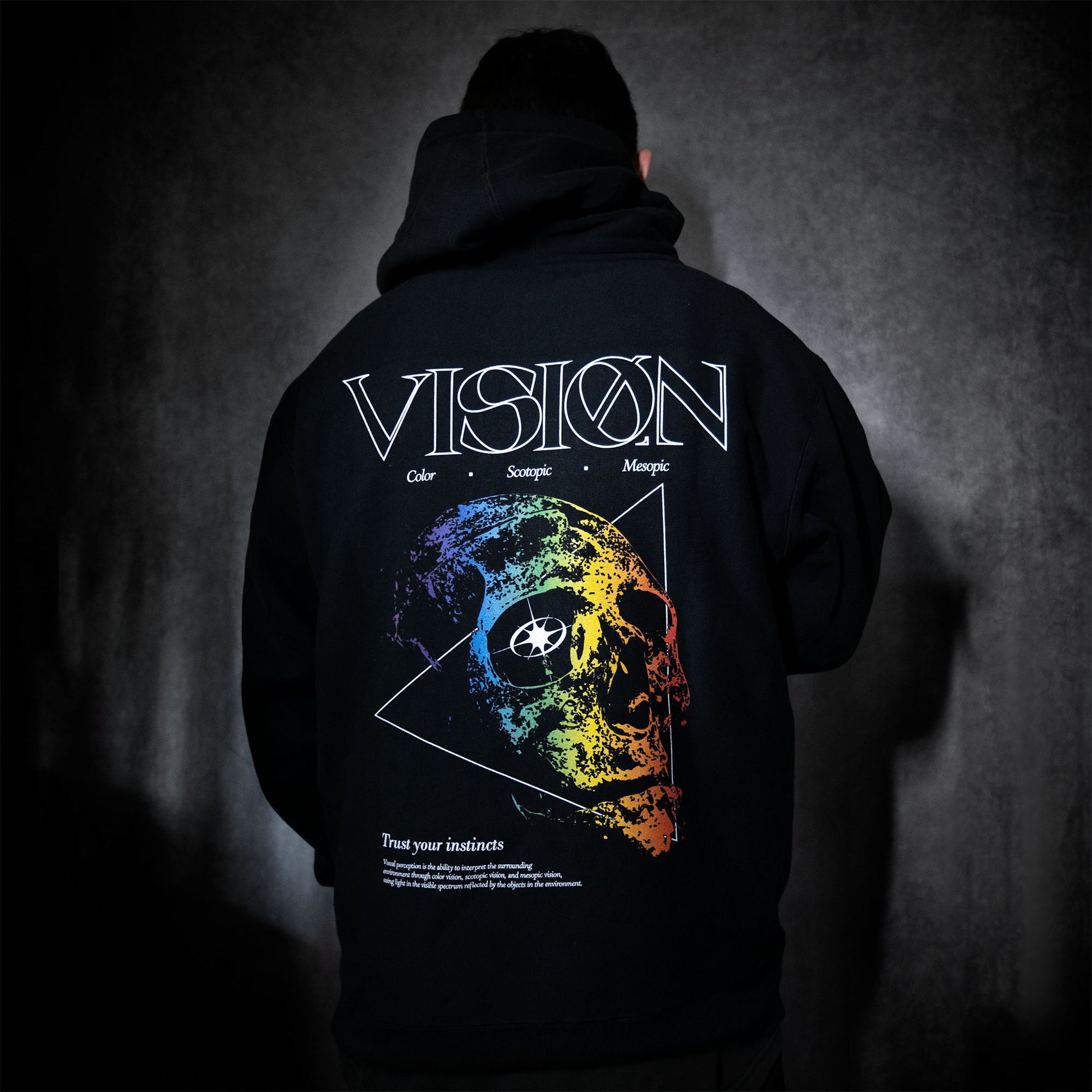 Visible Spectrum [Vision] Hoodie / Black - IKendoit.Shop